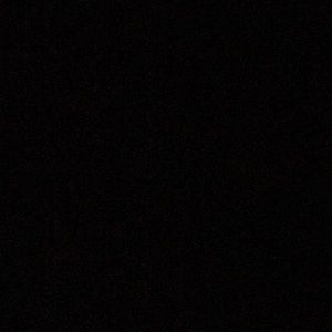 Meet your Posher, Tanijia